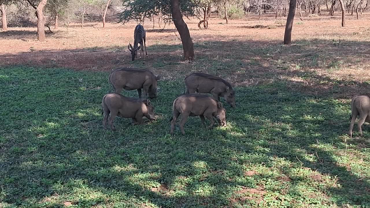 2 Jours Tsavo Est