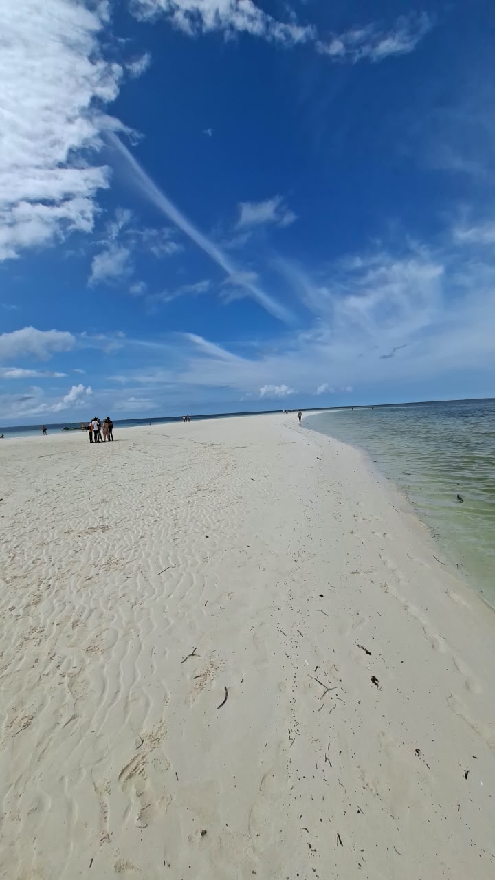 Blu Safari