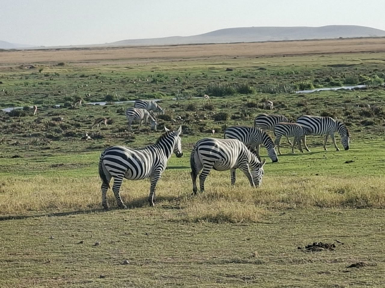 Watamu Kenya