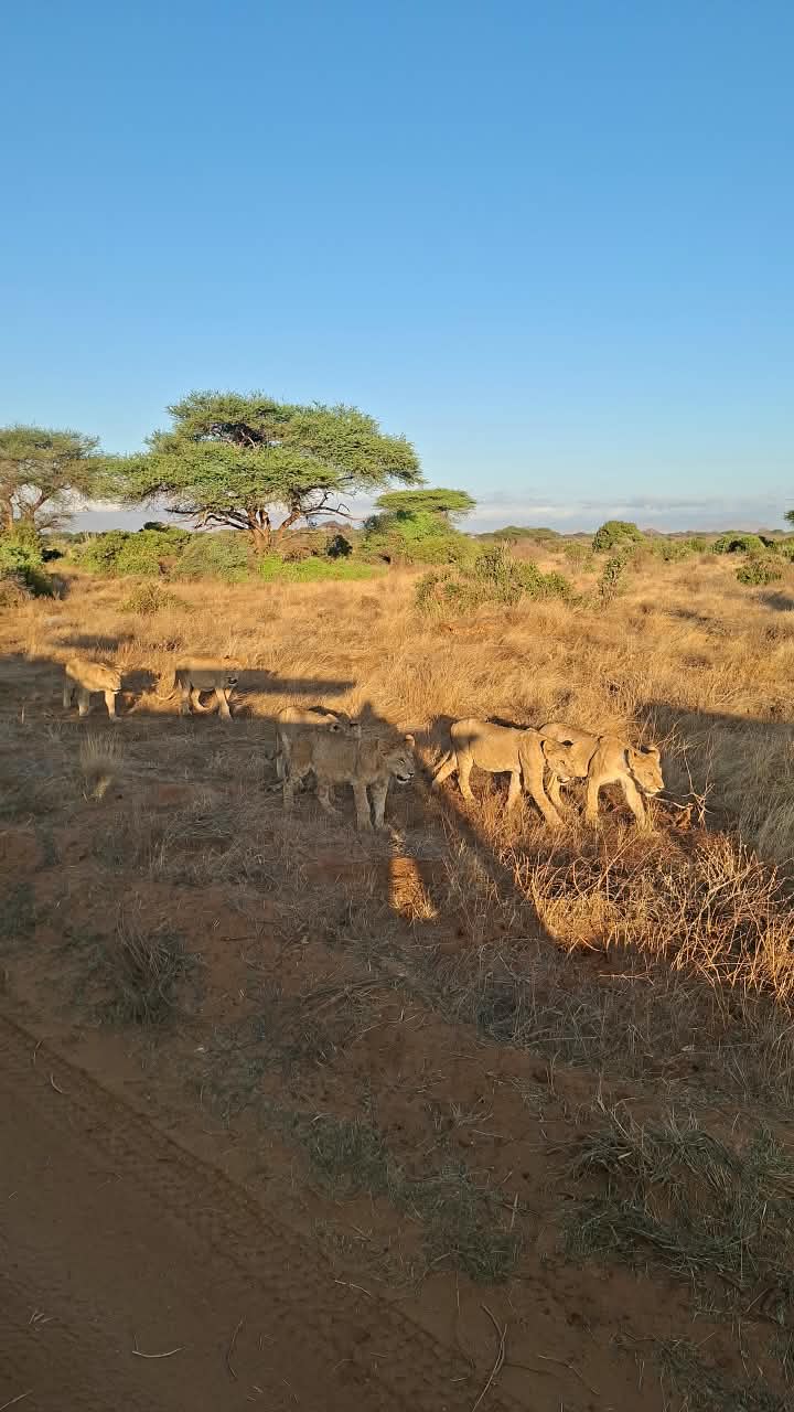 Kenya