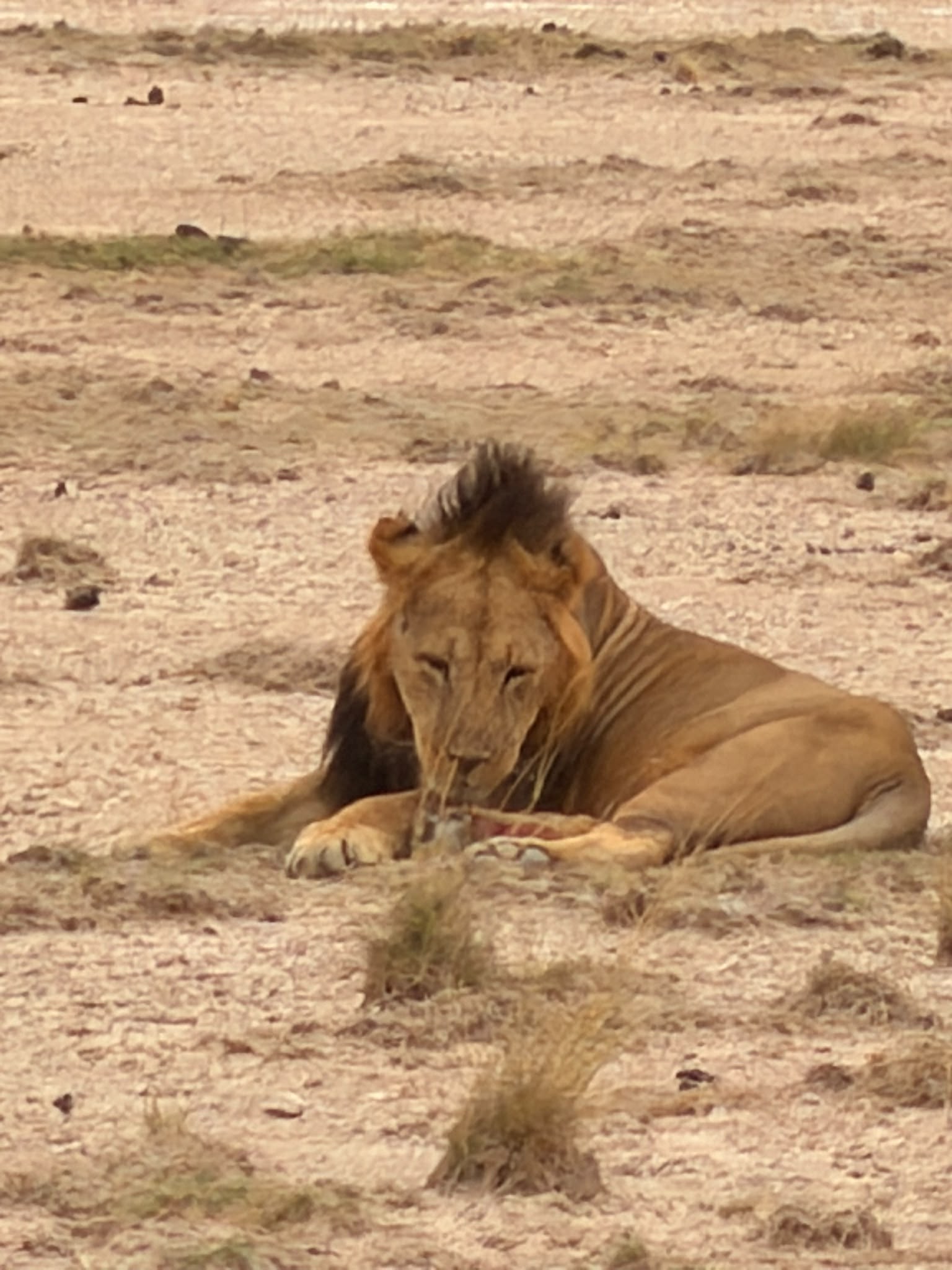 2 GG Maasai Mara